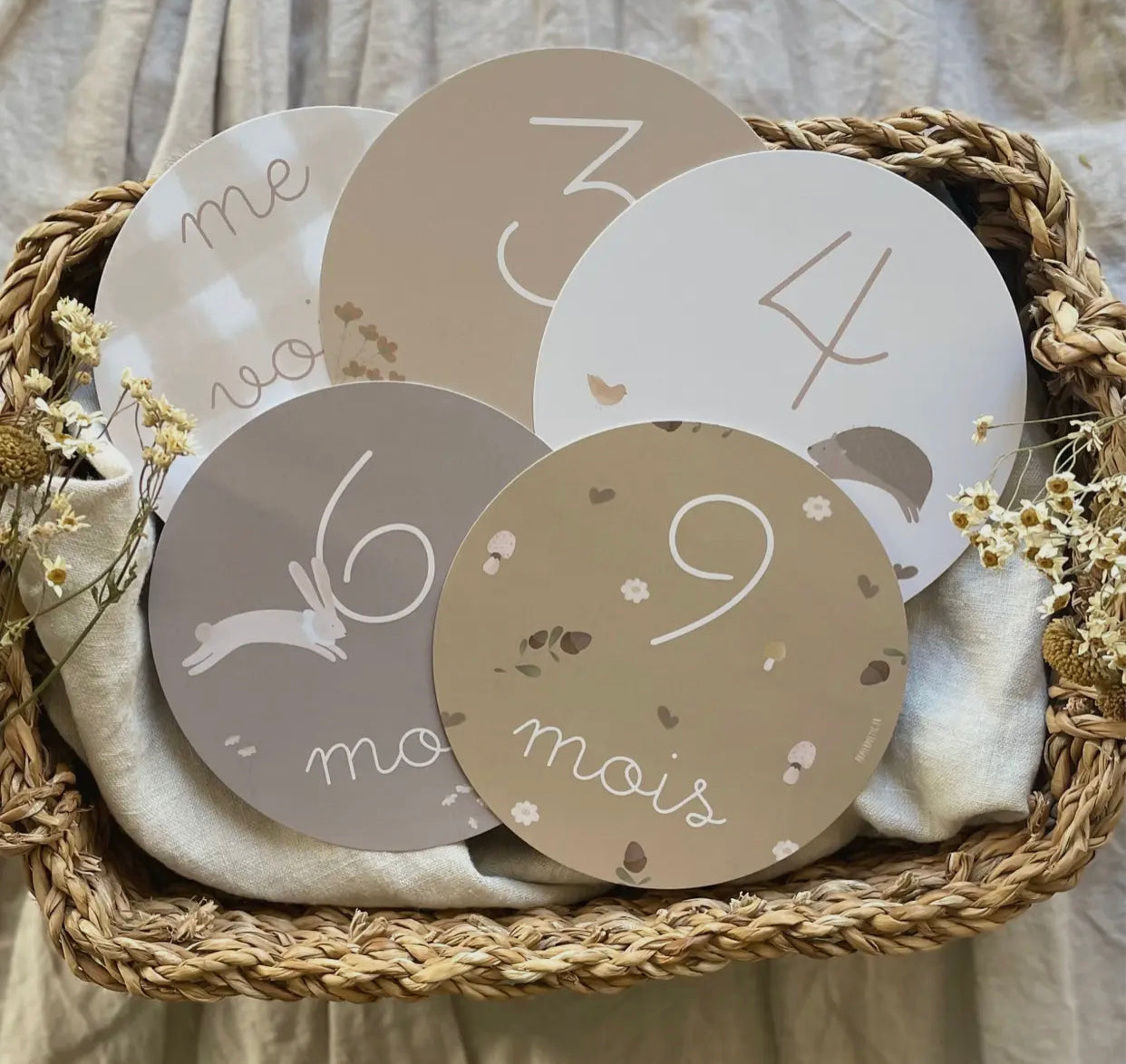 Cartes étapes "Ma première année"