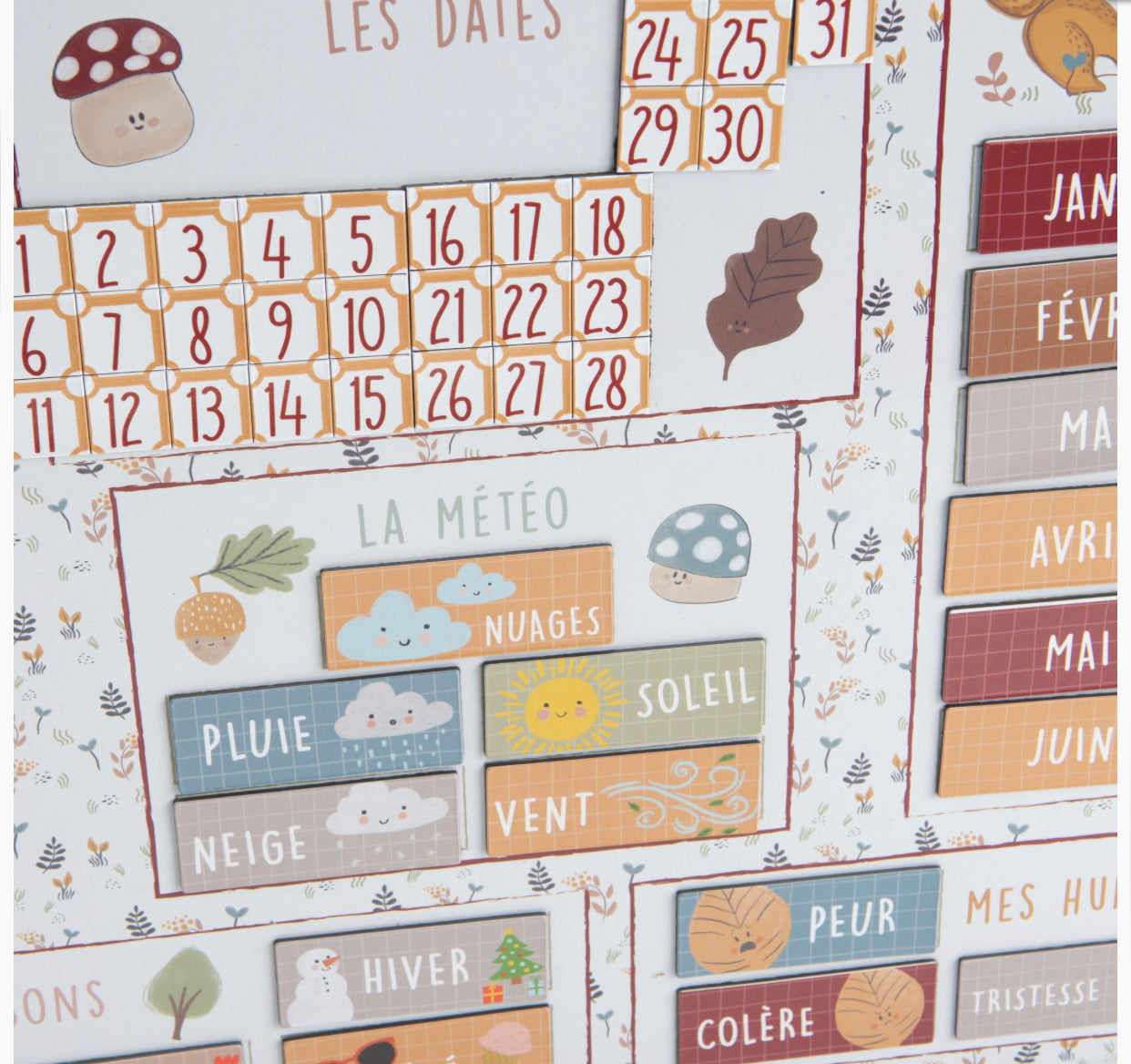 Calendrier champignon