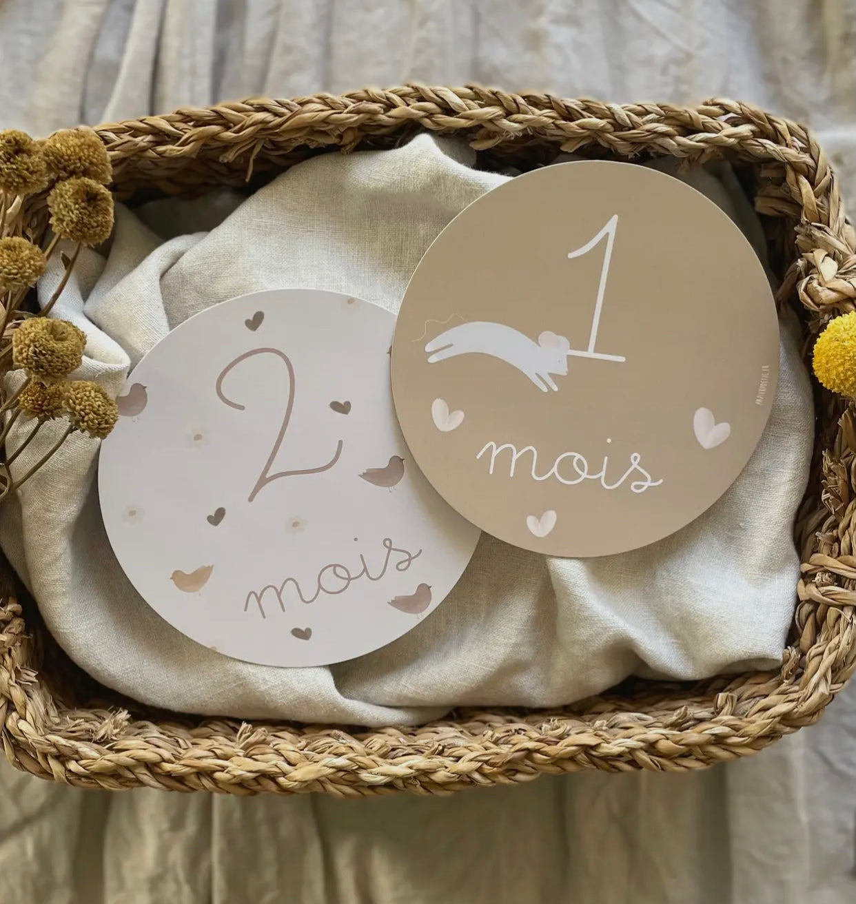 Cartes étapes "Ma première année"