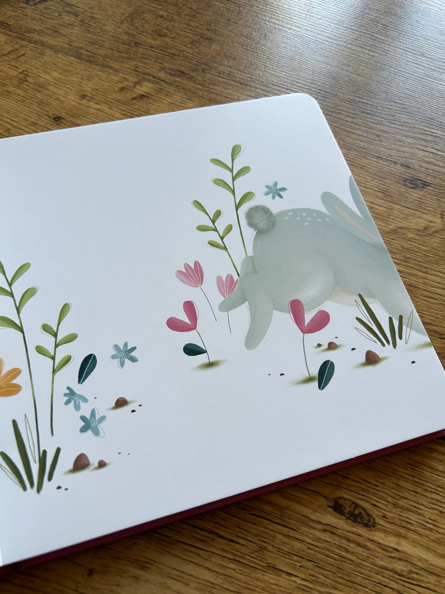 Livre la Timidité 🐰