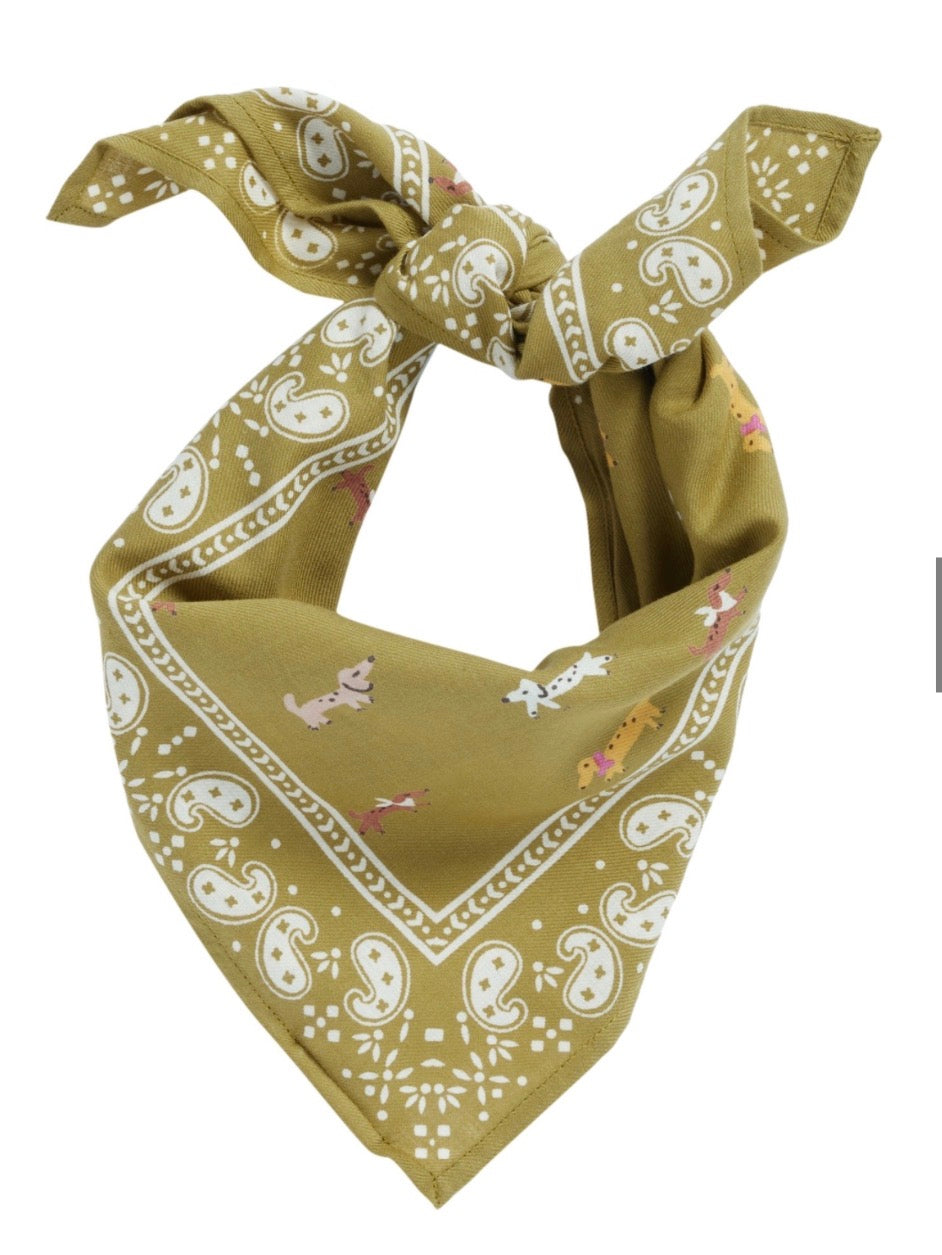 Foulard enfant teckels